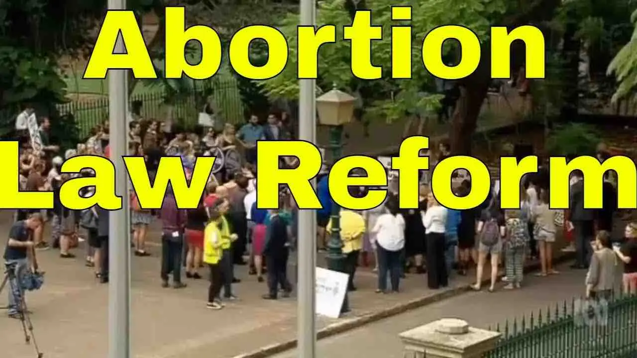 Abortion Law Reform • Struggle & Resistance In The Far North