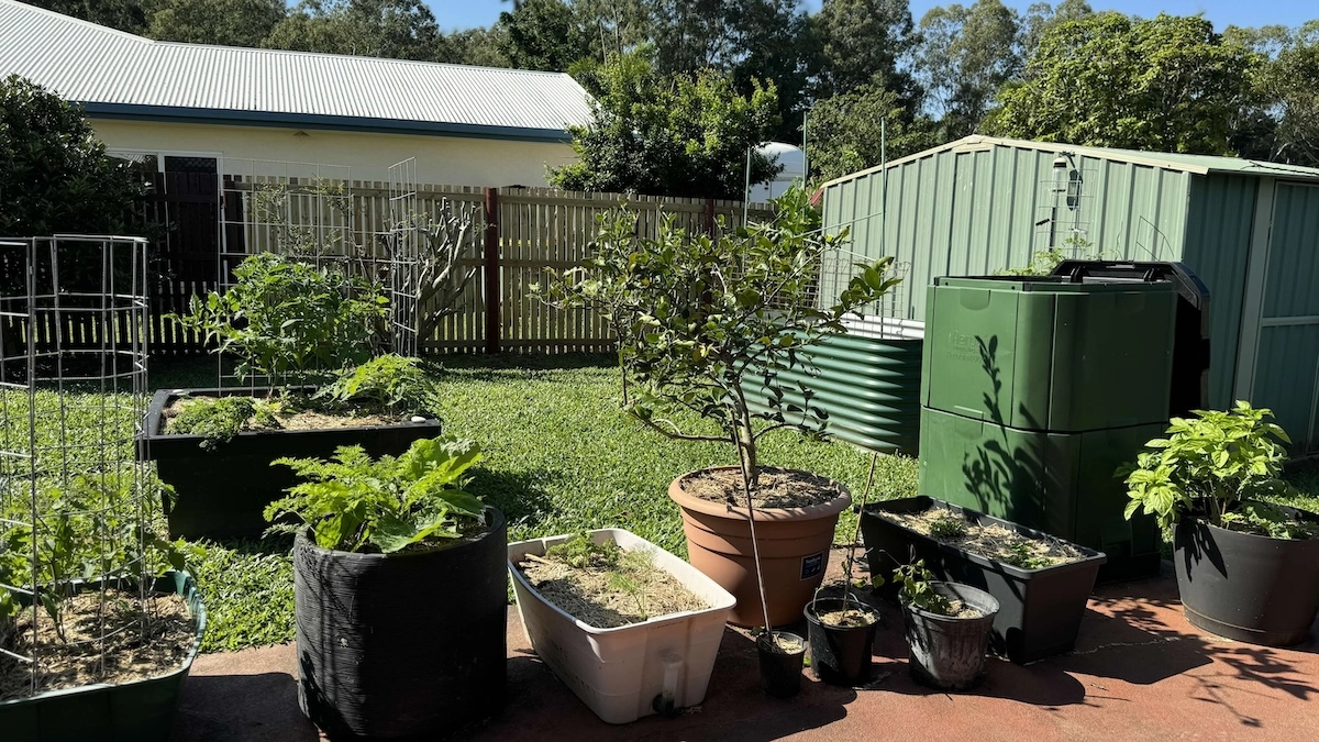 Cairns and tropical gardening